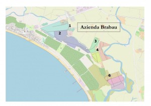 NUOVA PROCEDURA PER  L’AFFITTO DEI LOTTI RIMANENTI IN LOCALITA’ “BRABAU”