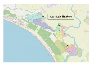 Procedura per l&#039;assegnazione in affitto di terreni consortili - Località Brabau