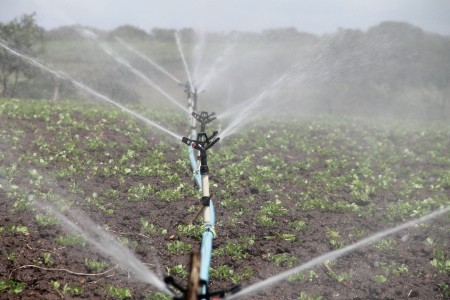 IRRIGAZIONE NEI DISTRETTI DEL COMPRENSORIO SUD - COMUNICATO ORARI E TURNI (periodo 04 – 09 maggio)