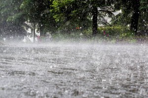SOSPENSIONE DELL’EROGAZIONE IDRICA IN TUTTO IL COMPRENSORIO IRRIGUO