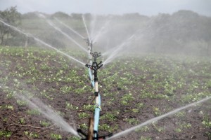 IRRIGAZIONE NEL COMPRENSORIO NORD - COMUNICATO DEL 16 APRILE 2021