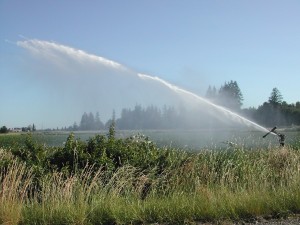 IRRIGAZIONE NEL DISTRETTO LOTTO SUD IMPIANTO STRADA 10 DI ARBOREA - COMUNICATO URGENTE