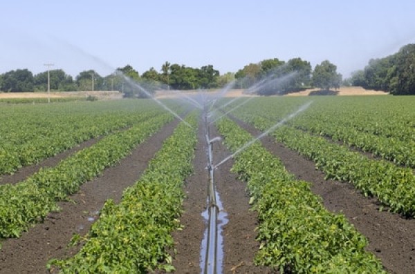 ANTICIPO AVVIO STAGIONE IRRIGUA 2023