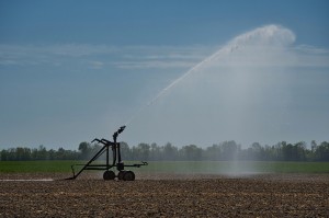Comunicato orari e turni di irrigazione nei Distretti Del Comprensorio Sud-AGGIORNAMENTO