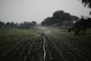 IRRIGAZIONE DI SOCCORSO NEL COMPRENSORIO SUD - COMUNICATO ORARI E TURNI