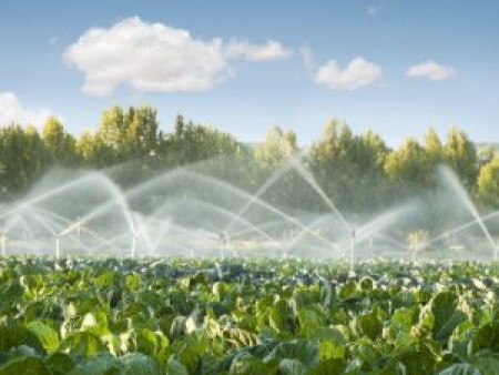 IRRIGAZIONE NEL COMPRENSORIO SUD E NORD COMUNICATO ORARI E TURNI 5 maggio – 11 maggio 2025