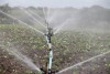 Irrigazione di soccorso Anno 2019