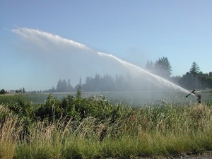 Adeguamento degli orari di irrigazione