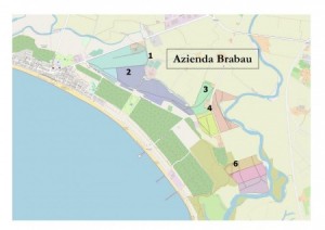 Avviso pubblico di riapertura dei termini di presentazione delle offerte - procedura per l&#039;assegnazione in affitto di terreni consortili - Località Brabau