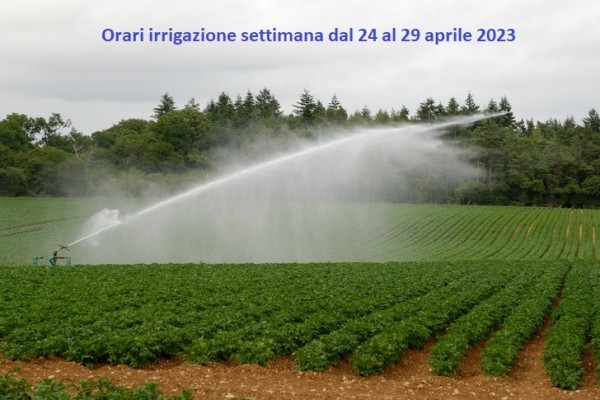 b3404be4ce8e34f9427382fa15263dea_L b3404be4ce8e34f9427382fa15263dea_L